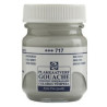 Темперна Боя Talens .Extra Fine .717 Студеносиво: 50 ml